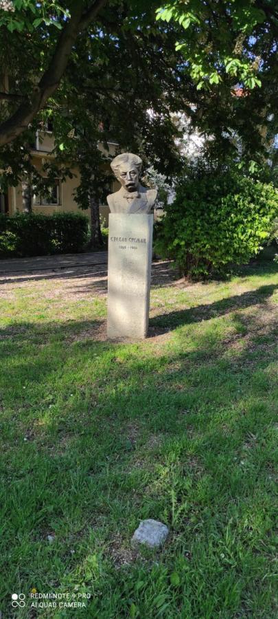 Stevan Sremac Soko Banja Exterior foto