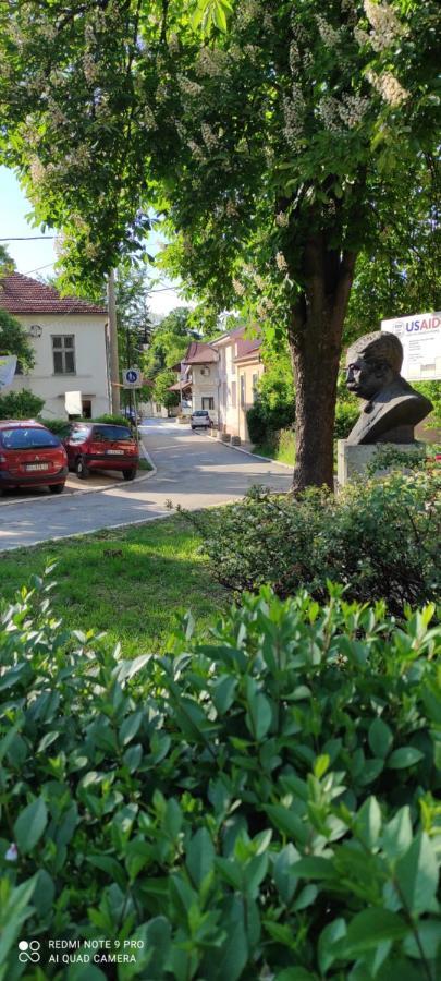 Stevan Sremac Soko Banja Exterior foto