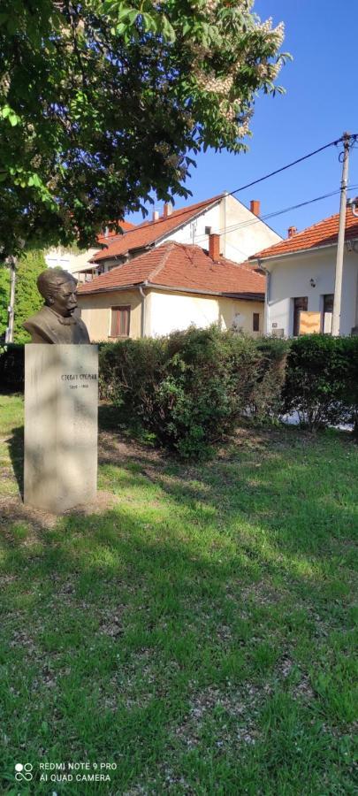 Stevan Sremac Soko Banja Exterior foto
