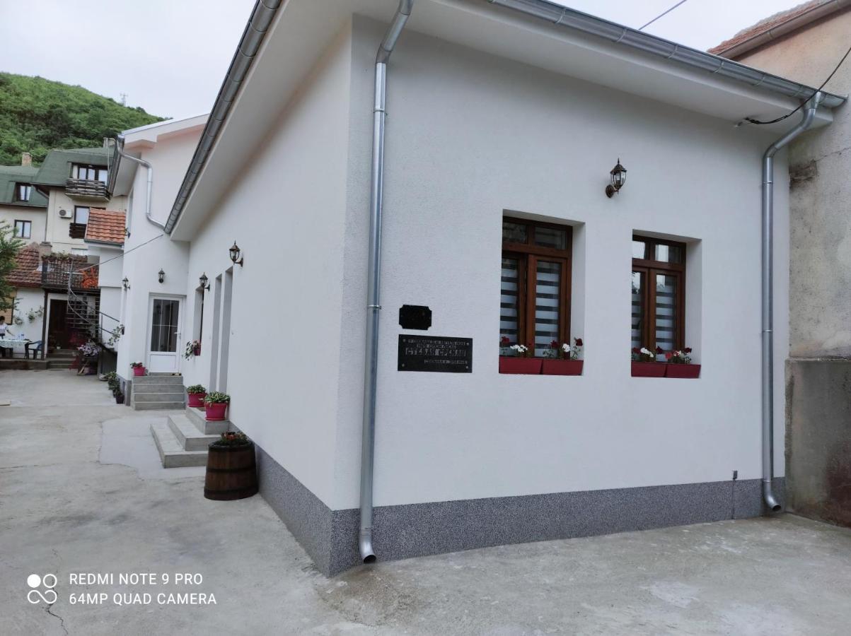 Stevan Sremac Soko Banja Exterior foto