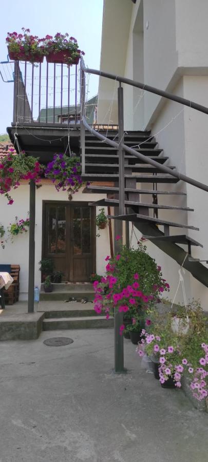 Stevan Sremac Soko Banja Exterior foto