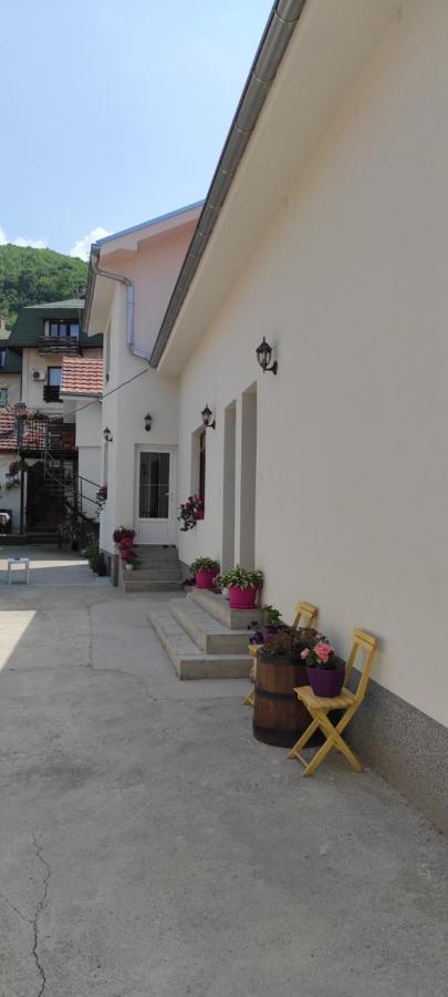 Stevan Sremac Soko Banja Exterior foto