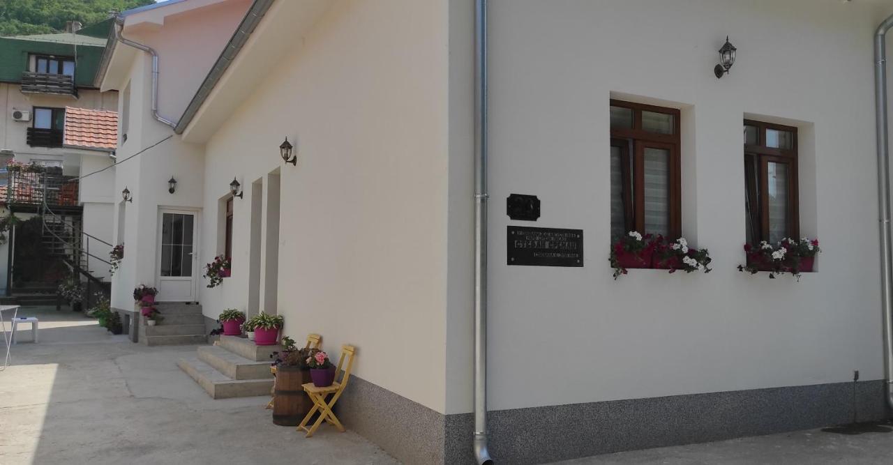 Stevan Sremac Soko Banja Exterior foto